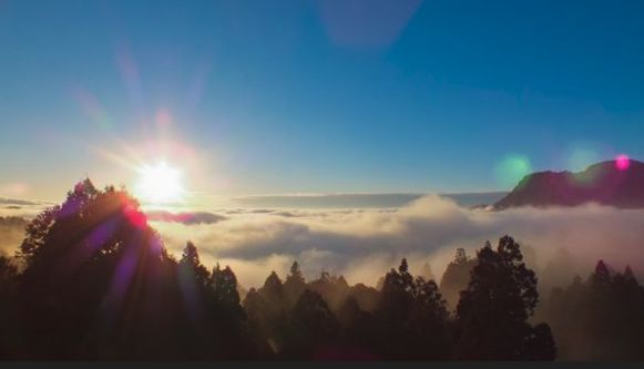 新春期間,追日欣賞雲海,入住阿里山賓館,就近至全球知名景點小笠原、祝山迎接曙光。照片/阿里山賓館 新春期間,追日欣賞雲海,入住阿里山賓館,就近至全球知名景點小笠原、祝山迎接曙光。照片/阿里山賓館