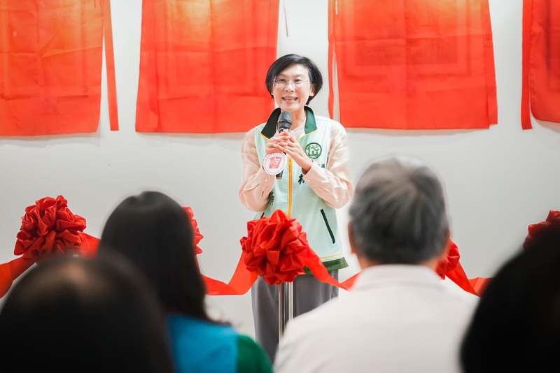 林岱樺涉貪遭起訴 高雄市長初選恐出局 民進黨選情增變數